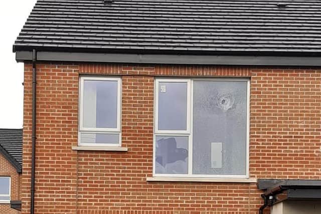 Houses vandalised in Portadown.