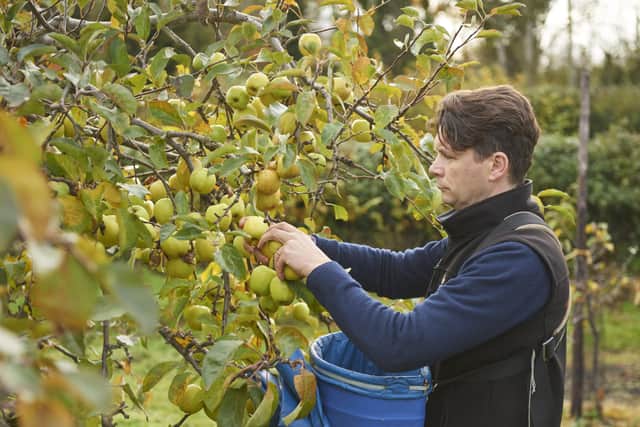 Mac Ivors Cider Co, which produces its Traditional Dry Cider, Medium Cider and Plum and Ginger Cider at its orchards opposite Ardress House in County Armagh.