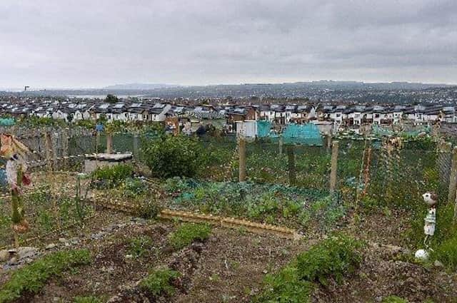 Allotments. Archive pic.