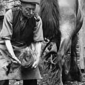 Killyleagh Blacksmith pictured in 1955. Photograph courtesy of Northern Ireland Historical Photographical Society Facebook page (https://www.facebook.com/Northern-Ireland-Historical-Photographical-Society-225424414683936/)