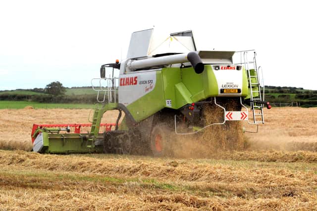 Allan Chambers said yields of his crops this year could be down by 50% if the good weather continues