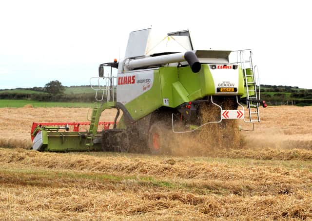 Allan Chambers said yields of his crops this year could be down by 50% if the good weather continues