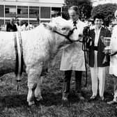 William Mulligan collects the Junior Charolais Champion prize from Marie-Paule Warnock at the Balmoral Show in 1989. The champion was owned by Jim Mulligan