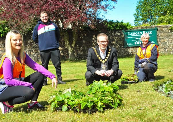 Lord Mayor, Councillor Kevin Savage pictured with council employees Amy Flynn, Michael McDaid and Debbie Knox as they help out with the planting of summer bedding at Lurgan Park last week