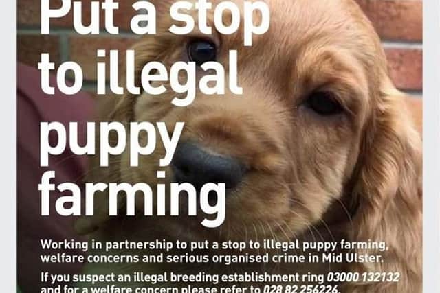 Stop puppy farming - PSNI