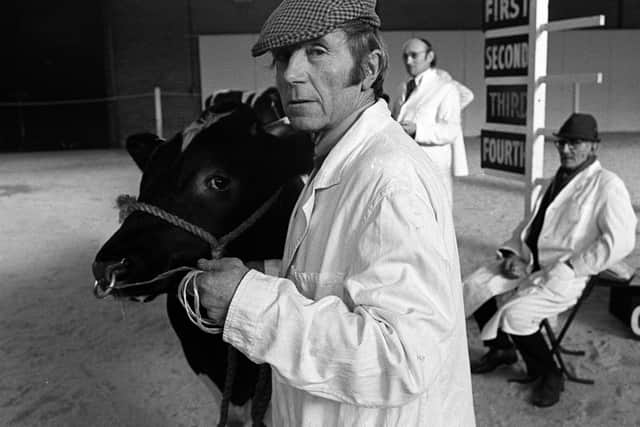 PACEMAKER PRESS INTL. BELFAST. Cattle Show at Balmoral. 13/2/80.
113/80/bw