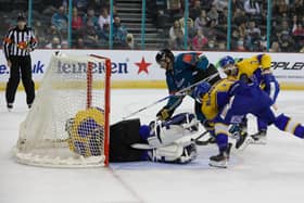 Belfast Giants' goal scorer JJ Piccinich celebrates during Sunday's Challenge Cup game at The SSE Arena, Belfast. Picture: Matt Mackey/Press Eye