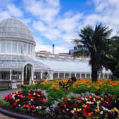 Botanic Gardens are a popular spot to take in the autumn leaves close to Belfast City Centre.