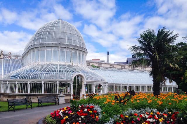 Botanic Gardens are a popular spot to take in the autumn leaves close to Belfast City Centre.