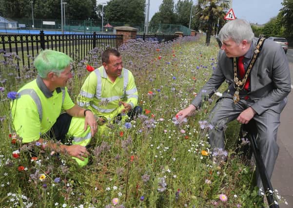 Winston Brogan and Rodney Boyd from Causeway Coast and Glens Borough Council’s Estates team pictured earlier this year with the Mayor, Councillor Richard Holmes, during a visit to a wildflower display at Anderson Park in Coleraine