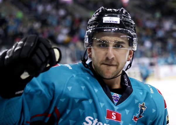 Belfast Giant's David Goodwin has been named as captain. Picture: William Cherry/Presseye