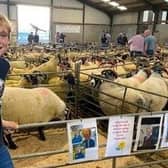 Zak is pictured at the Armoy Sheep Sale where he sold a ewe donated by his grandfather, Joe Dickson.