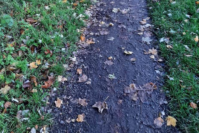 Concerns have been raised about the condition of some paths in Mallusk. (Photo contributed by John Blair's office).