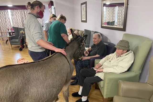 Residents enjoy animal therapy during the visit of Peanut and Tipple from Kinedale Donkeys in Ballynahinch