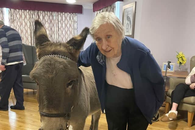 Agnes Creeth, resident at Oak Tree Manor, Dunmurry with Peanut the donkey from Kinedale Donkeys, Ballynahinch