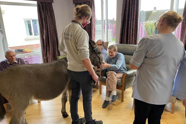 Residents at Oak Tree Manor, Dunmurry, meet the two donkeys from Kinedale Donkey in Ballynahinch. Donkey therapy has enormous therapeutic benefits for older people, as their naturally calm and slow presence provides a feeling of security and comfort