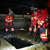 Firefighters rescuing four cattle from a slurry tank in Dromore Co Down on Wednesday 24 November. Photo: NIFRS.