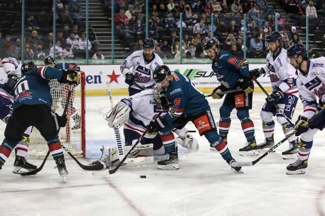 Belfast Giants' David Goodwin with Dundee Stars' Adam Morrison during last Sunday's Elite Ice Hockey League game at the SSE Arena, Belfast