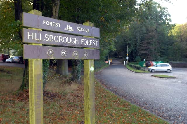 Hillsborough Forest Park