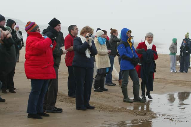 WE'LL STAND HERE, THANKS...Family and friends show their support during the Operation Freeze Knees swim on Christmas Day. Cr1-144mj