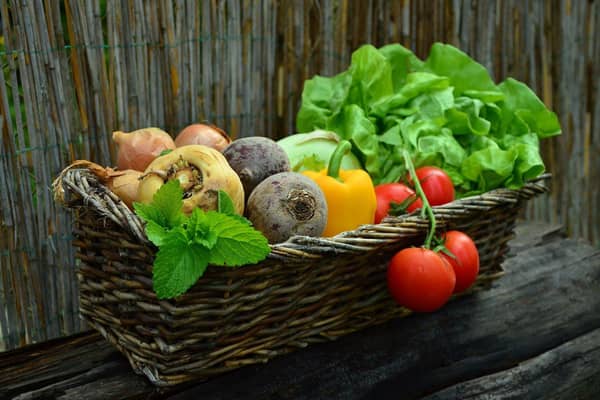 An online survey is to be carried out to see if there's a demand for allotment space.