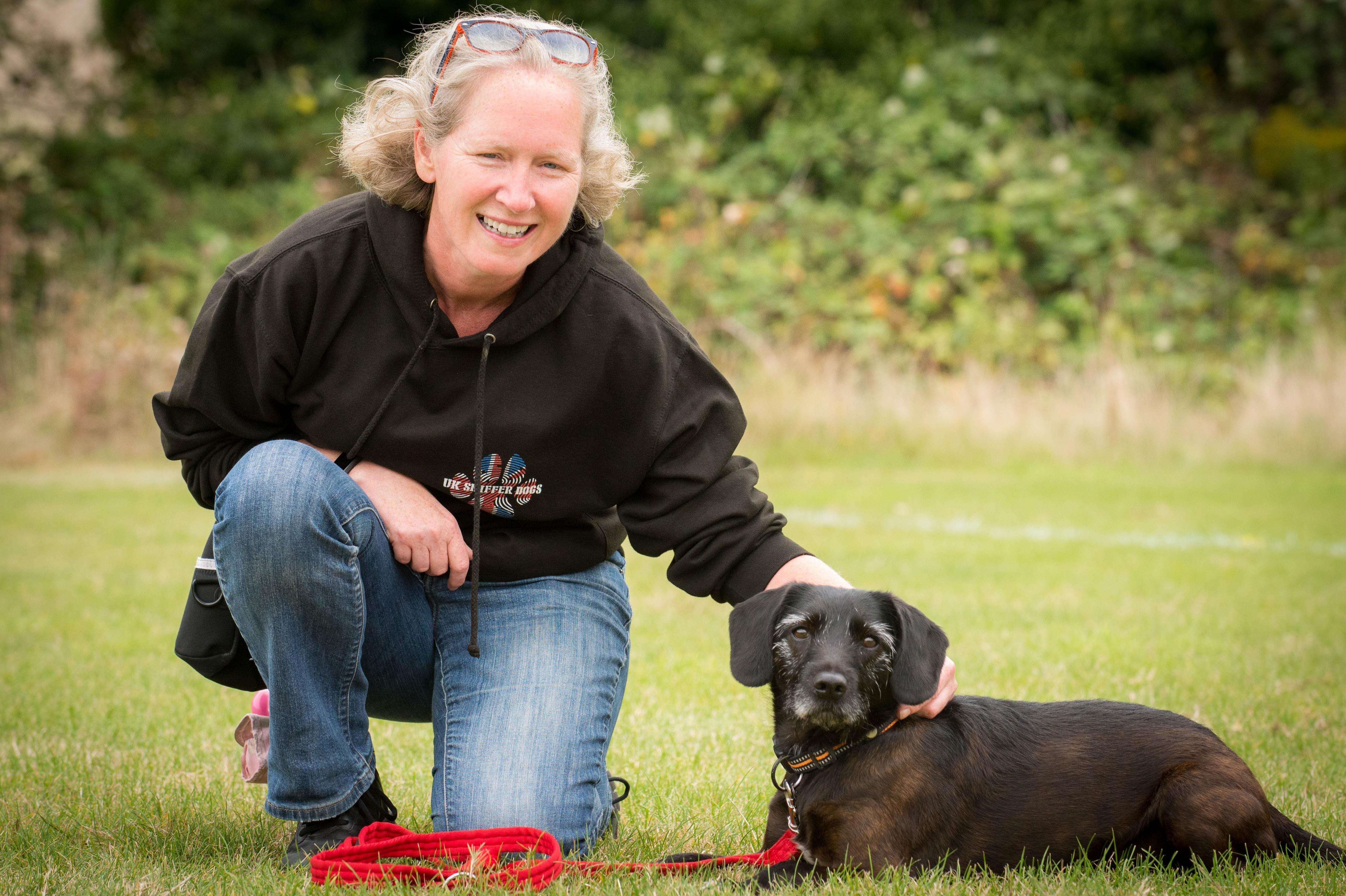 Recognise the signs of stress in dogs