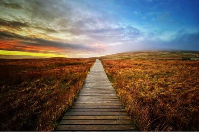 One of Belfast's most popular attractions, Divis and Black Mountain, will be even more accessible this January thanks to a free bus shuttle service from the National Trust in partnership with Translink and Harper's Coaches. Picture: National Trust