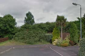 A new link road has been approved at New Hampshire Drive, in Carrickfergus. Pic Google