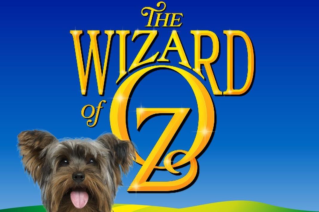 Wizard of Oz production seeks dog to play Toto