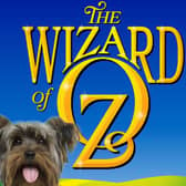 Would your dog be perfect for the role of Toto?