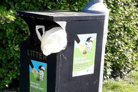 Dog foul bin