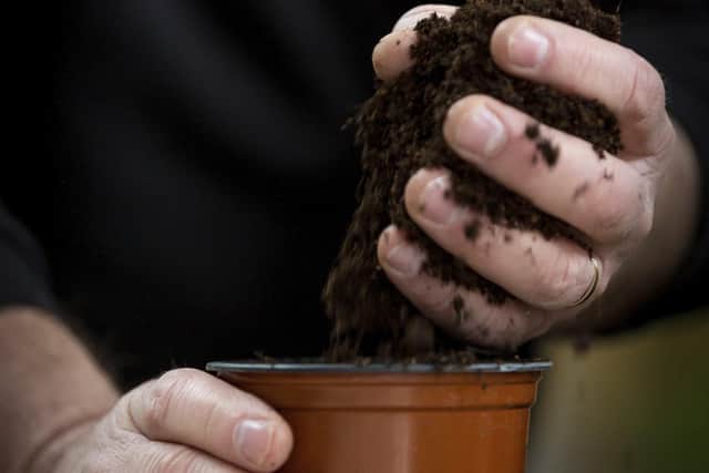 A beginners guide to compost is one of the NI Science Festival events being held locally