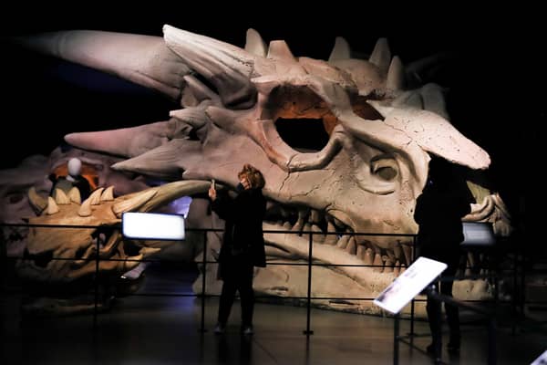 The world's only official Game of Thrones studio tour will open to the public on Friday, February 4. Picture by Jonathan Porter/PressEye
