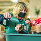 Dobbies Lisburn hosts free evengt for kids