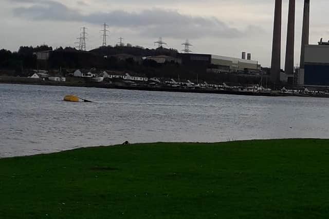 Islandmagee