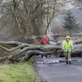 A man has escaped injury after a large stree struck his car on the Lislaban Road near Cloughmills  this afternoon as Storm Dudley starts to impact Northern Ireland.
The car that wa struck has been removed but debris can be seen on the ground.
Pic Steven McAuley/McAuley Multimedia