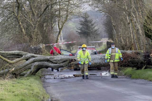 A man has escaped injury after a large stree struck his car on the Lislaban Road near Cloughmills  this afternoon as Storm Dudley starts to impact Northern Ireland.The car that wa struck has been removed but debris can be seen on the ground.Pic Steven McAuley/McAuley Multimedia