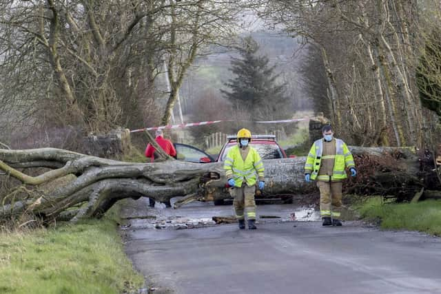 A man has escaped injury after a large stree struck his car on the Lislaban Road near Cloughmills  this afternoon as Storm Dudley starts to impact Northern Ireland.
The car that wa struck has been removed but debris can be seen on the ground.
Pic Steven McAuley/McAuley Multimedia