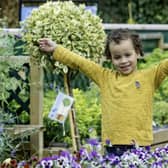 Leon Bagley, Little Seedlings Ambassador, at Dobbies Little Seedlings Club