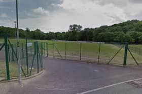 The pitch in the Cloyne Crescent area of Monkstown. (Pic by Google).