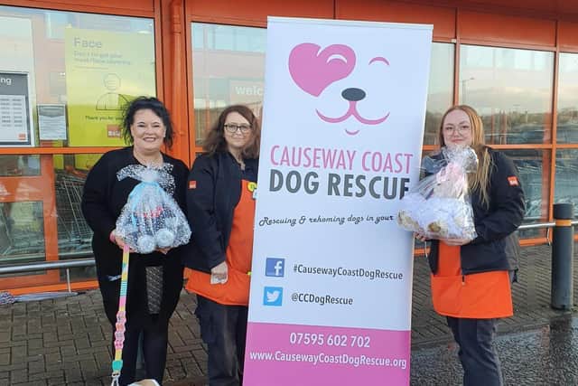 Causeway Coast Dog Rescue Dogs For Rehoming