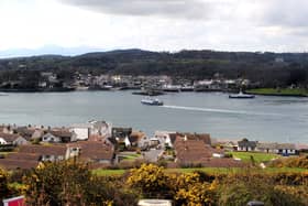 The Strangford Ferry service pictured in November 2012. Picture: Arthur Allison/Pacemaker Press