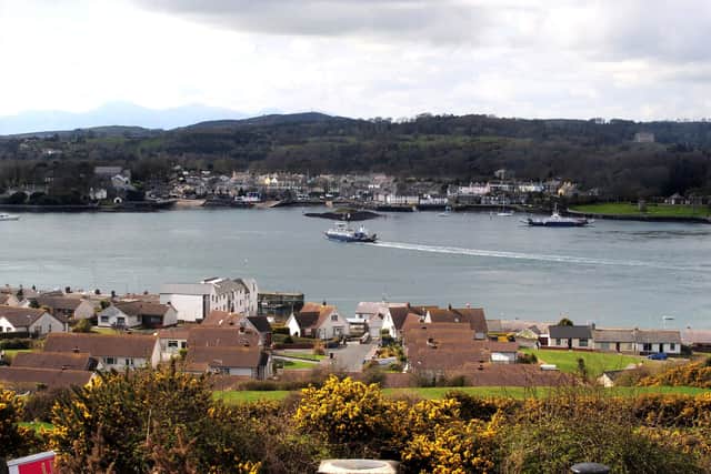 The Strangford Ferry service pictured in November 2012. Picture: Arthur Allison/Pacemaker Press