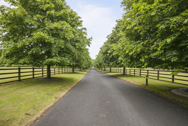 The property has an amazing tree lined driveway from the Coltrim Road with a second access from the Cookstown Road.