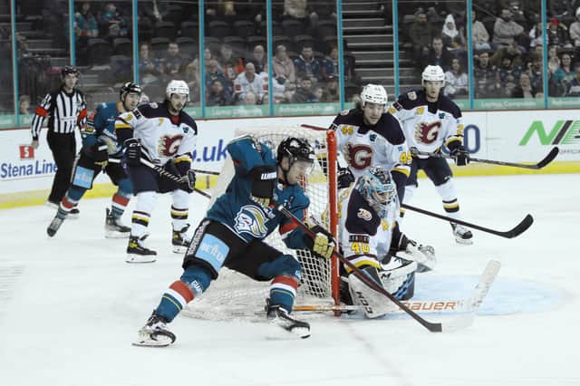 Belfast Giants’ David Goodwin during last Saturday night’s Elite Ice Hockey League game at the SSE Arena in Belfast