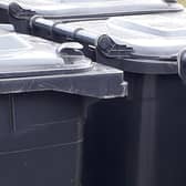 Black bins