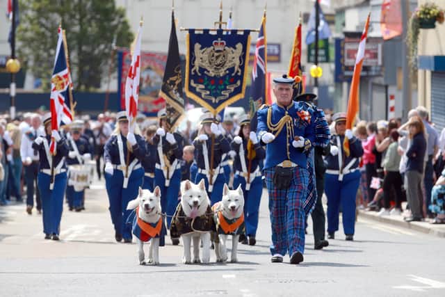 These three eye-catching dogs led the Constable Anderson Memorial Band during the Twelfth demonstration in Larne in 2021. Picture: Stephen Davison / Pacemaker