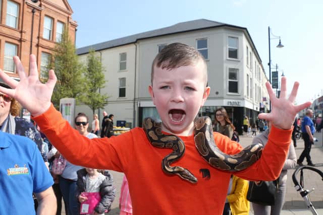 Tom Lamont  pictured with a snake  at a previous Easter extravaganza in Coleraine town centre