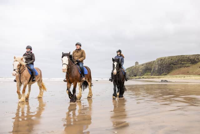 Causeway Coast and Glens Borough Council is appealing to horse riders and dog owners to ensure everyone can enjoy our outdoor spaces together