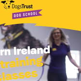 Dogs Trust Dog School holding training classes locally